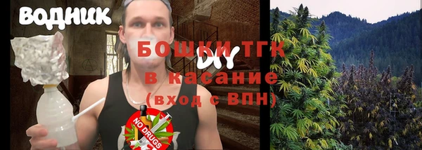 ПСИЛОЦИБИНОВЫЕ ГРИБЫ Алзамай