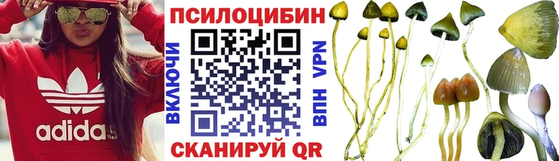 Псилоцибиновые грибы мухоморы  Раменское 